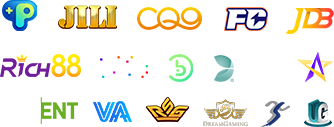 providers